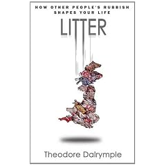 Litter: How Other People's Rubbish Shapes Our Lives