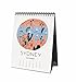 Rifle Paper Co 2017 Desk Calendar (Maps)