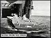 Landing Vehicle Track (LVT)