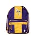 Minnesota Vikings NFL Kids Backpack Case Pack 12
