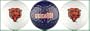 Chicago Bears Golf Balls w/ ChicaGO!