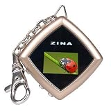 Zina USB Digital Photo Viewer Keychain with 1-Inch LCD