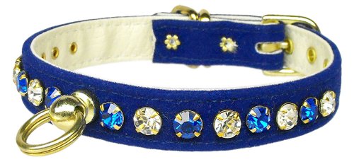 blue velvet dog collar