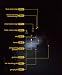 Planet Bike Beamer 5 LED Bicycle Light with Quick Cam Bracket Mount