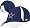 Dallas Cowboys