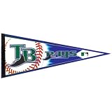 Tampa Bay Devil Rays - Collage 12 X 30 Pennant MLB Pro Baseball