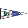 Tampa Bay Devil Rays - Collage 12" X 30" Pennant MLB Pro Baseball