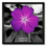 12x12 Square Black Wood Picture Frame and Clear Glass ~ Gallery Black