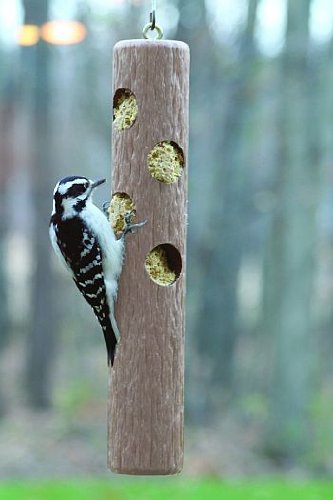 Suet Feeder Log