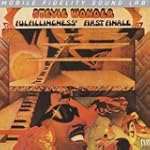 Fulfillingness' First Finale (Vinyl)