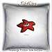 Sports : JibKiss Kissen Seestern - starfish