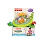 Fisher-Price Rainforest Shake n' Chime Ball