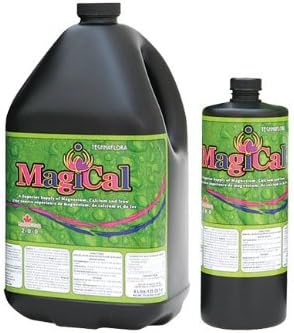 MagiCal 716453 MAGICAL 1 LT