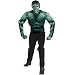 Search : The Incredible Hulk 2008 Movie Muscle Chest Hulk Adult Costume
