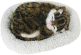 Find-me-a-gift Pet Dreamz Cat