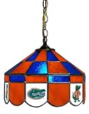University of Florida Gators Stained Glass Swag Light