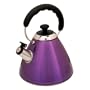 Gibson Mr. Coffee Hartleton Tea Kettle, 2-Quart, Purple