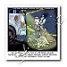 Londons Times Funny Animals Cartoons - Possum Police Protocol - Iron on Heat Transfer...