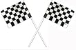 Racing Checkered Flags Cupcake Picks