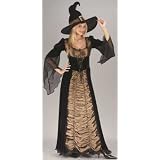 Sexy Adult Womens Halloween Costumes Wicked Coffin Salem Witch Corset Gown Dress Costume Theme Party Outfit