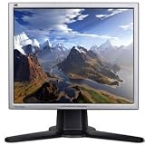 Viewsonic VP171S 17' LCD Monitor (Silver)
