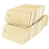 OrangeTag Wood Gift Tags / Blank Wooden Tags for Wine, Decor, Weddings (Pkg 100)