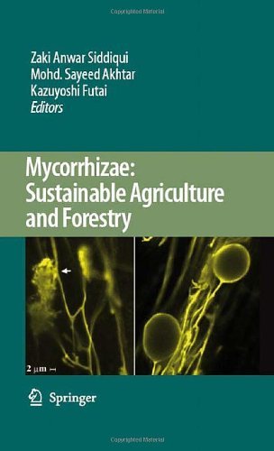 Mycorrhizae: Sustainable Agriculture and Forestry