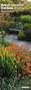 2010 British Country Gardens Slim Notes Calendar (English, German and French Edition)