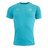 2015-2016 Arsenal Puma Casuals Performance Tee (Capri Breeze)