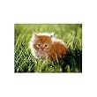 Melissa & Doug ORANGE KITTEN 30 PC JIGSAW PUZZLE Cat