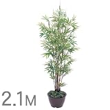 �y�l�H�A���z���|�� 2.1m