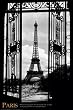 PARIS ~ Eiffel Tower ~ PHOTO ART ~ NEW POSTER(Size 24"x36")
