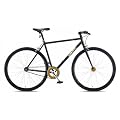 28' Singlespeed Coyote Tra-Fix Schwarz/Gold