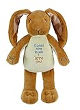 Guess How Much I Love You Nut-brown Hare Nut-brown Hare Recordable Plush [並行輸入品]