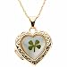 14K Gold Four leaf clover Mother of Pearl Heart Shaped Locket with 14k Chain Necklace