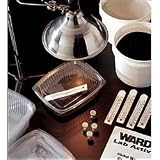 Global Warming and Greenhouse Effect Lab Activity