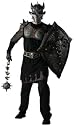 Medieval Armored Knight Adult Costume