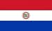 Paraguay Flag Clear Acrylic Fridge Magnet 2.75 inches x 2 inches