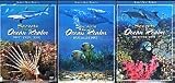 Secrets of The Ocean Realm 3-DVD Set