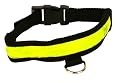 Ultra High-Visibility Reflective Dog Collar with Flashing LED - Size Large