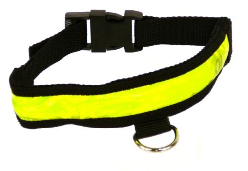 Ultra High-Visibility Reflective Dog Collar with Flashing LED - Size Large