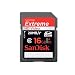 SanDisk Extreme 16GB SDHC Flash Memory Card SDSDX-016G-X46,Black