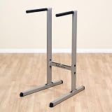 Body Solid GDIP59 Dip Station