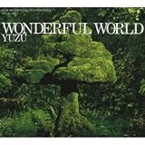WONDERFUL WORLD