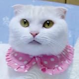 キャットプリン 水玉ちゃんブラウス♪ ピンク