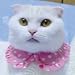 キャットプリン 水玉ちゃんブラウス♪ ピンク