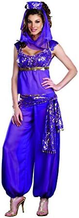 Dreamgirl Ally Kazam Harem Girl Costume