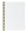 Russell+Hazel Mini Grid Paper (20216)