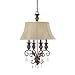 Capital 3524CB-442 Traditional / Classic Crusted Umber 4 Light Chandelier