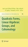 Quadratic forms, linear algebraic groups, and cohomology